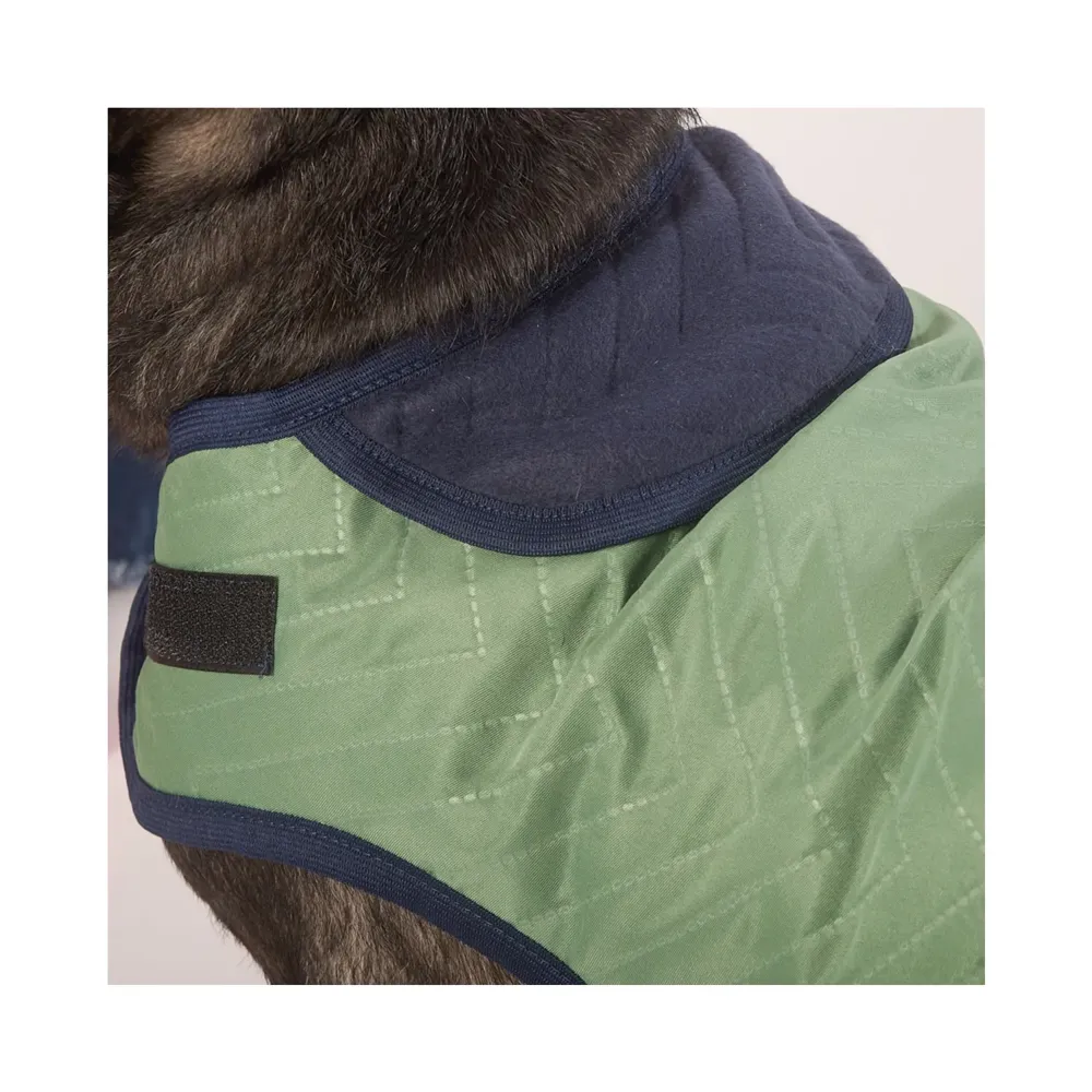 Capa Dupla Face Verde Fábrica Pet — foto 6