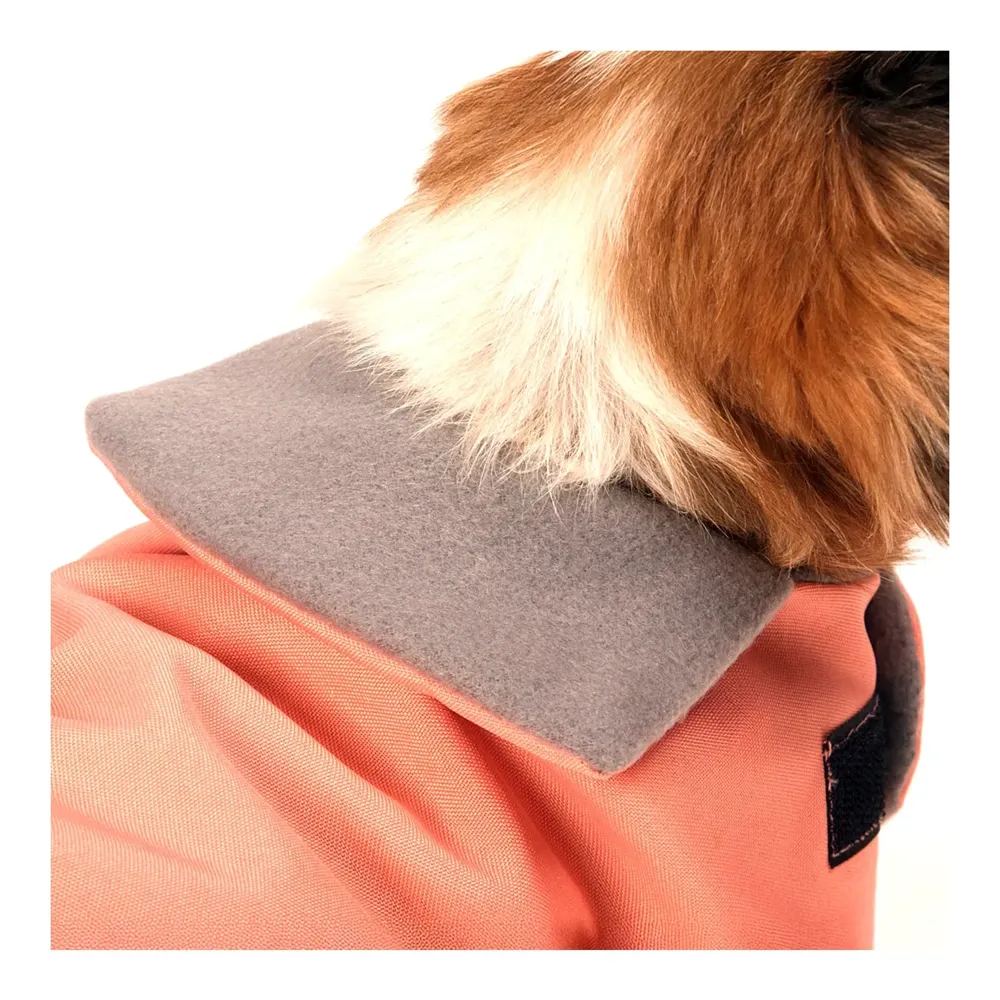 Capa Lisa Alfaiataria Rosê Fábrica Pet — foto 6