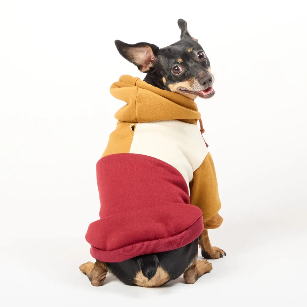 Casaco com Capuz para Cães Flicks Marrom — foto 3