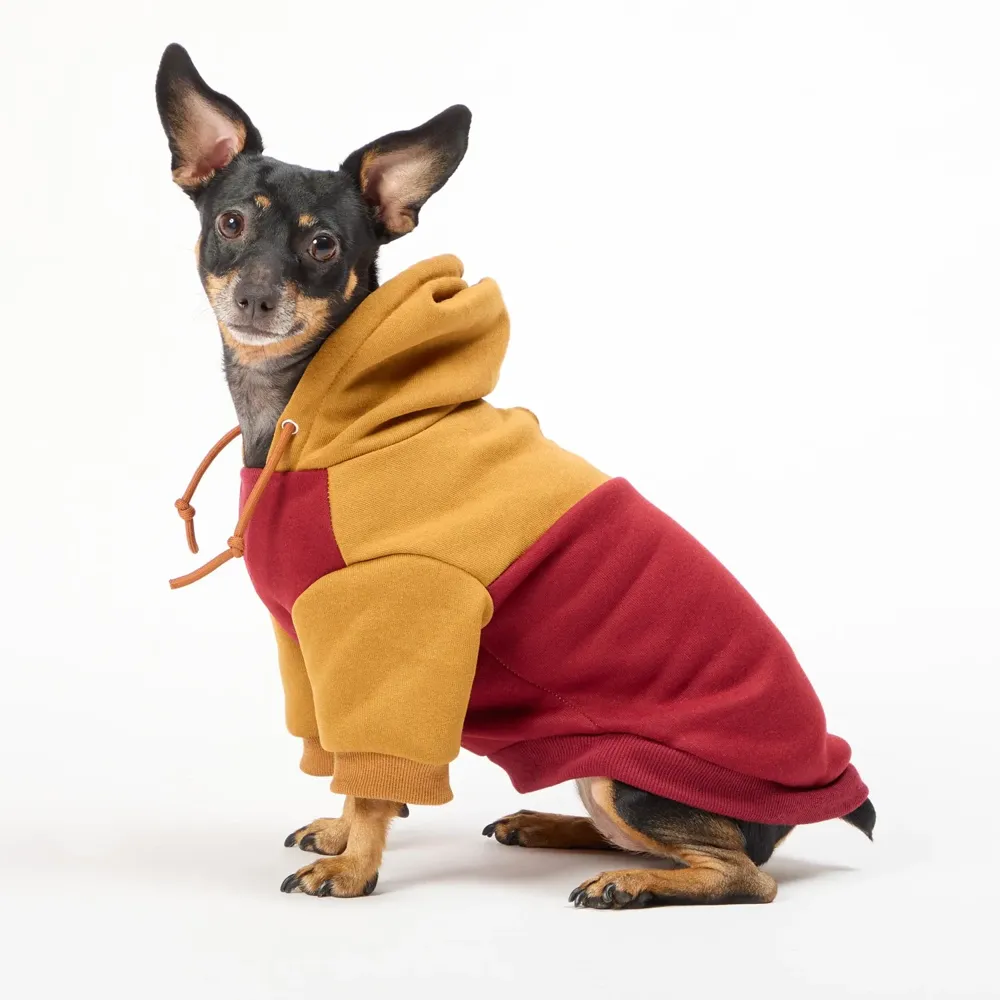 Casaco com Capuz para Cães Flicks Marrom — foto 4