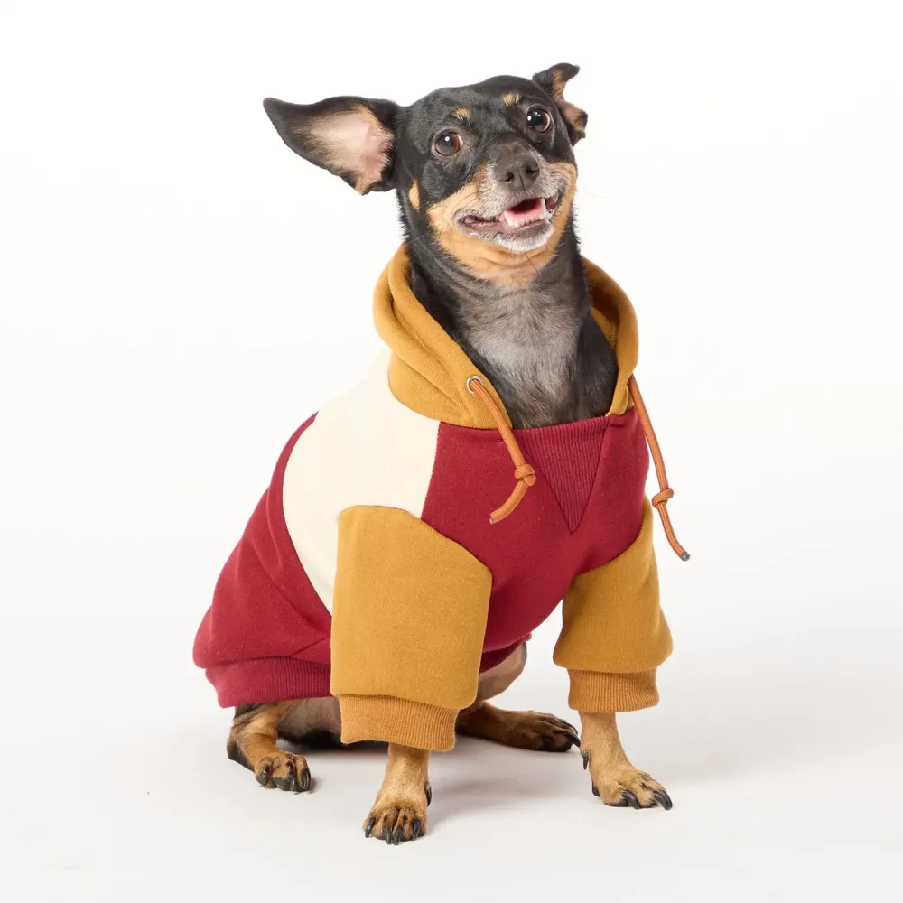Casaco com Capuz para Cães Flicks Marrom — foto 6