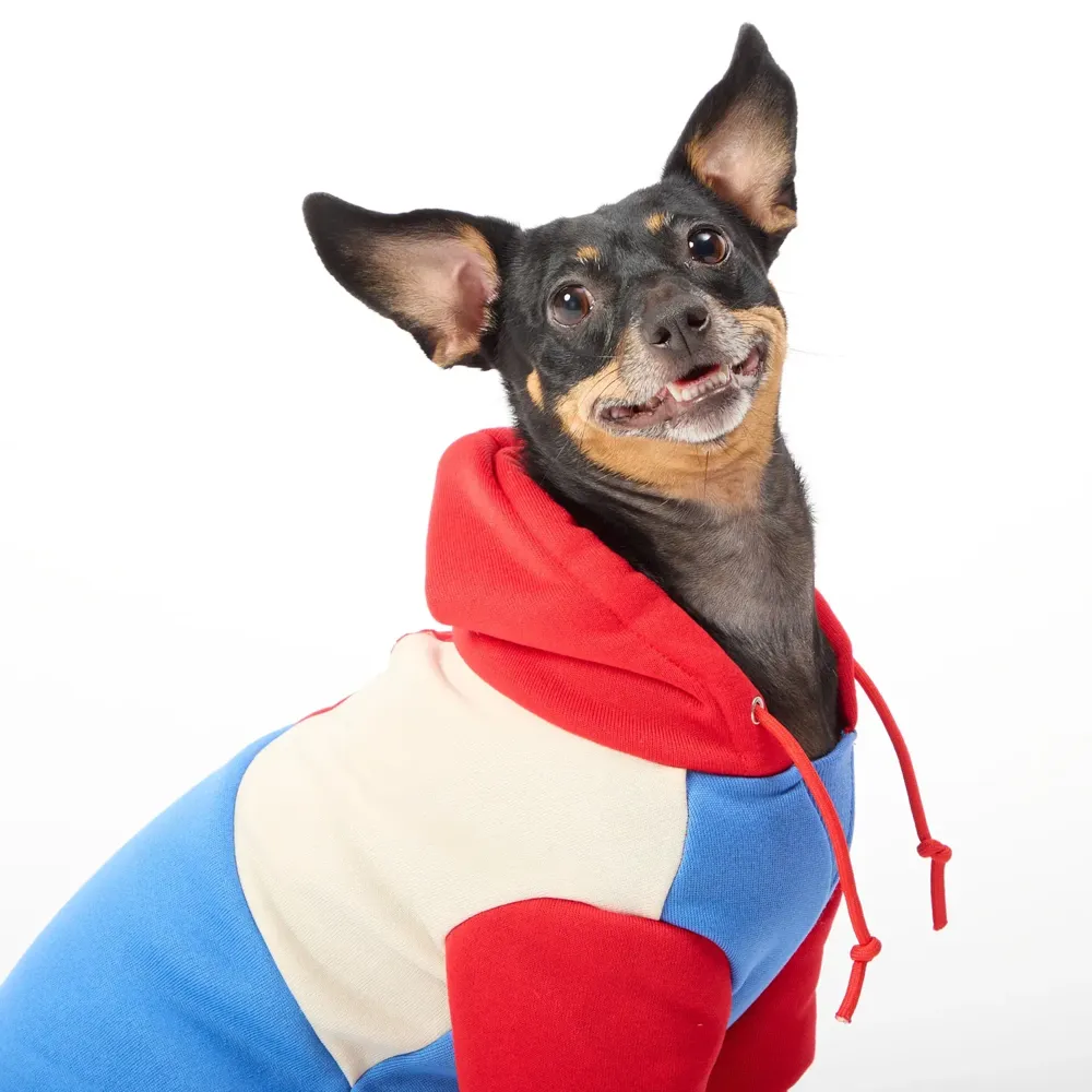 Casaco com Capuz para Cães Flicks Vermelho — foto 3