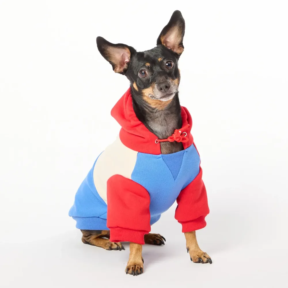 Casaco com Capuz para Cães Flicks Vermelho — foto 4