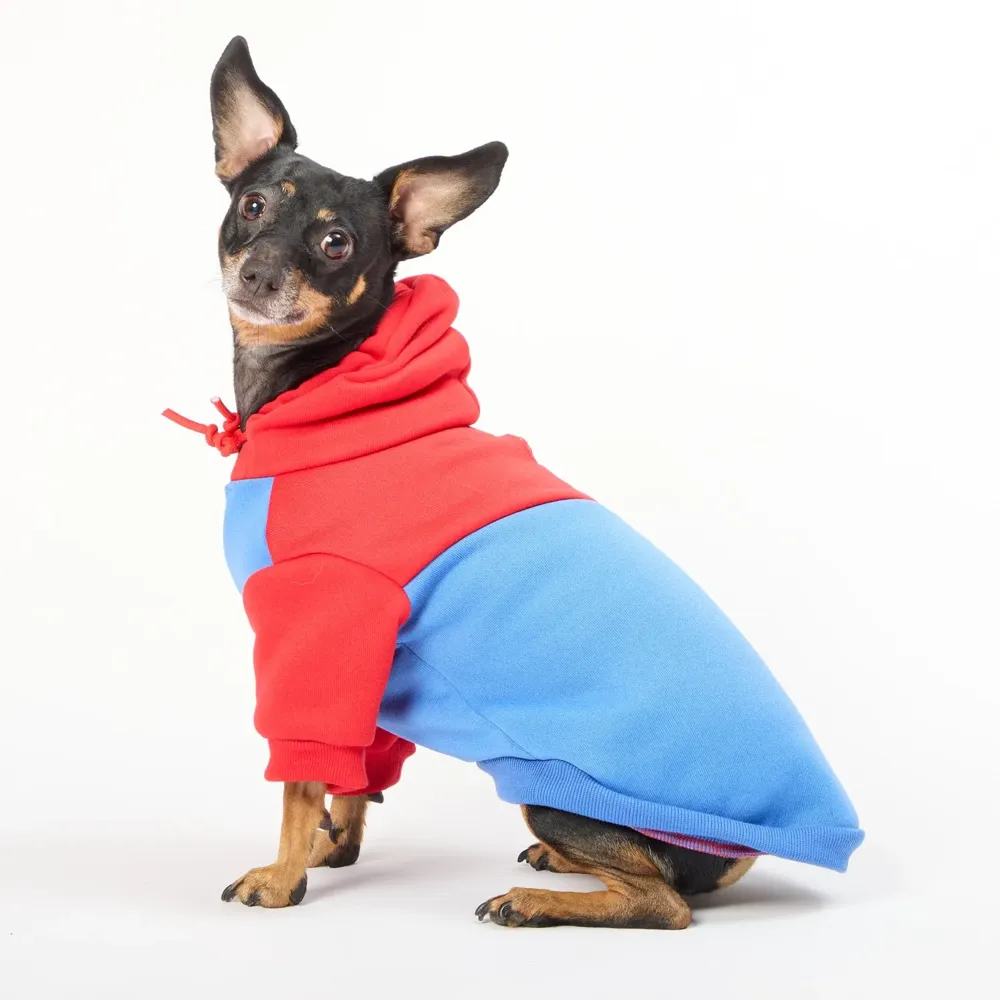 Casaco com Capuz para Cães Flicks Vermelho — foto 5