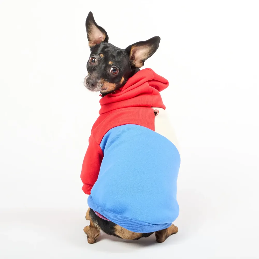 Casaco com Capuz para Cães Flicks Vermelho — foto 6