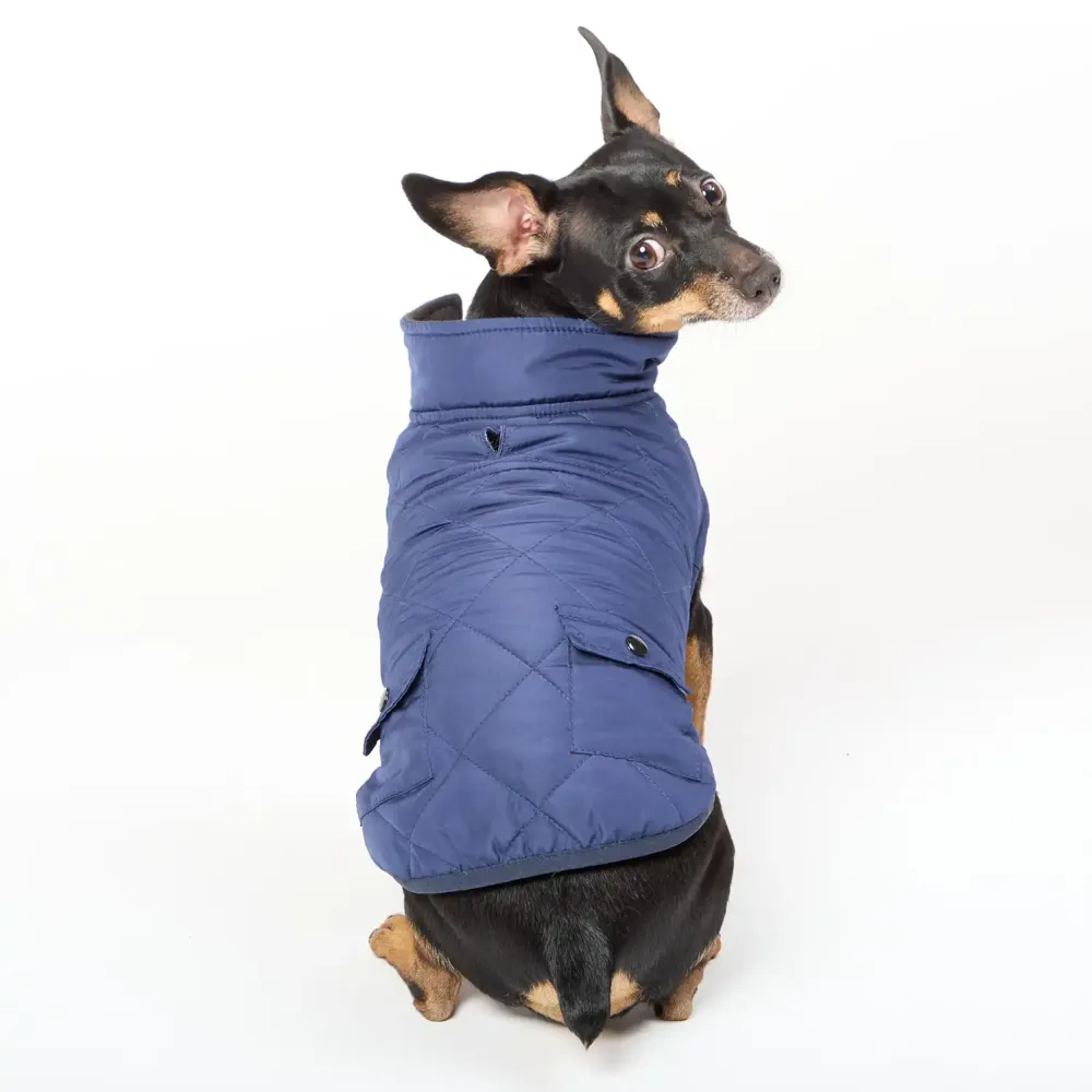 Casaco Quilting para Cães Flicks Azul — foto 4