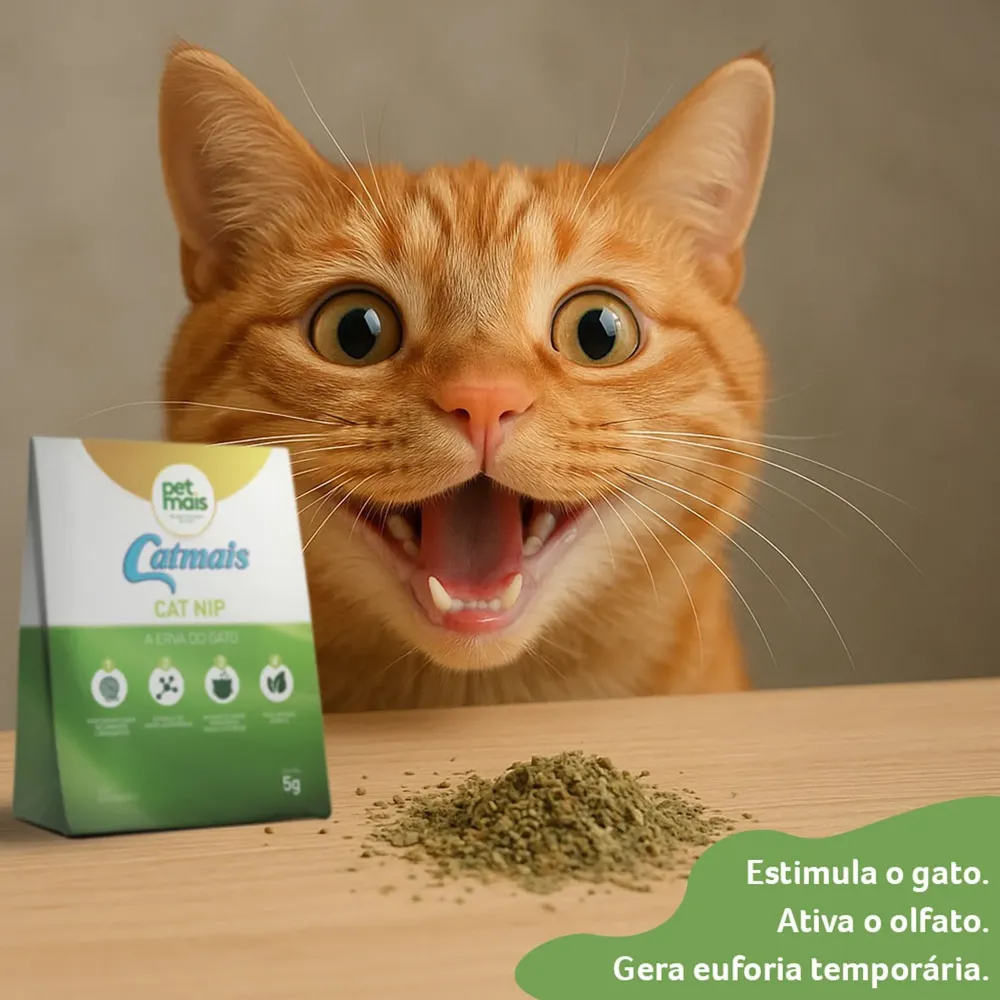 Catnip Premium Erva do Gato Petmais — foto 4