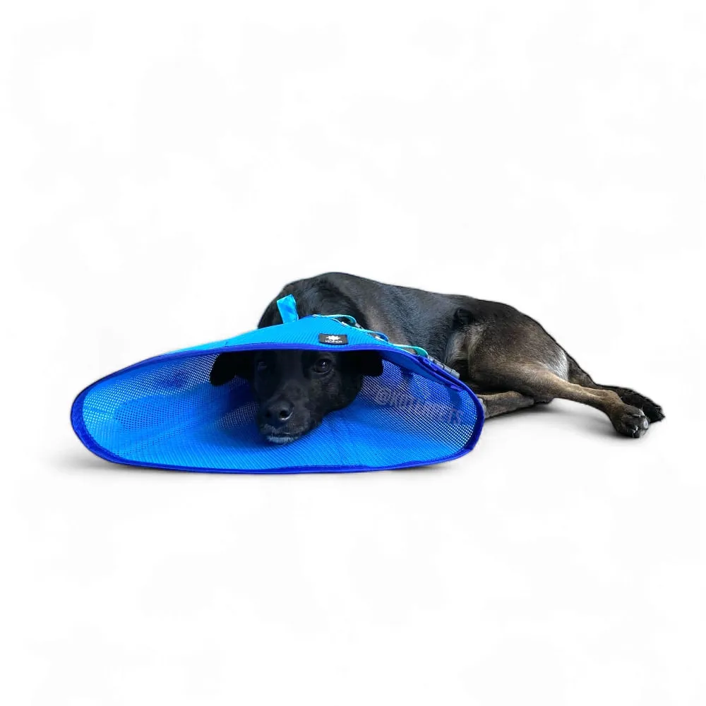 Colar Elizabetano Koter Vestdog — foto 5