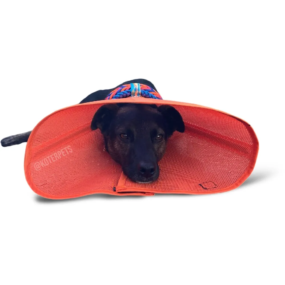 Colar Elizabetano Koter Vestdog — foto 6