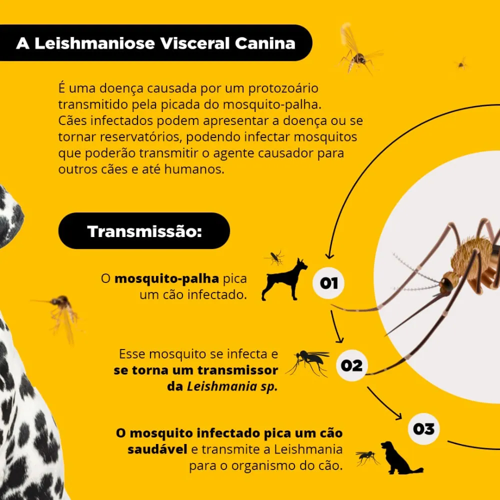 Coleira Antiparasitária Scalibor Cães Grandes — foto 3