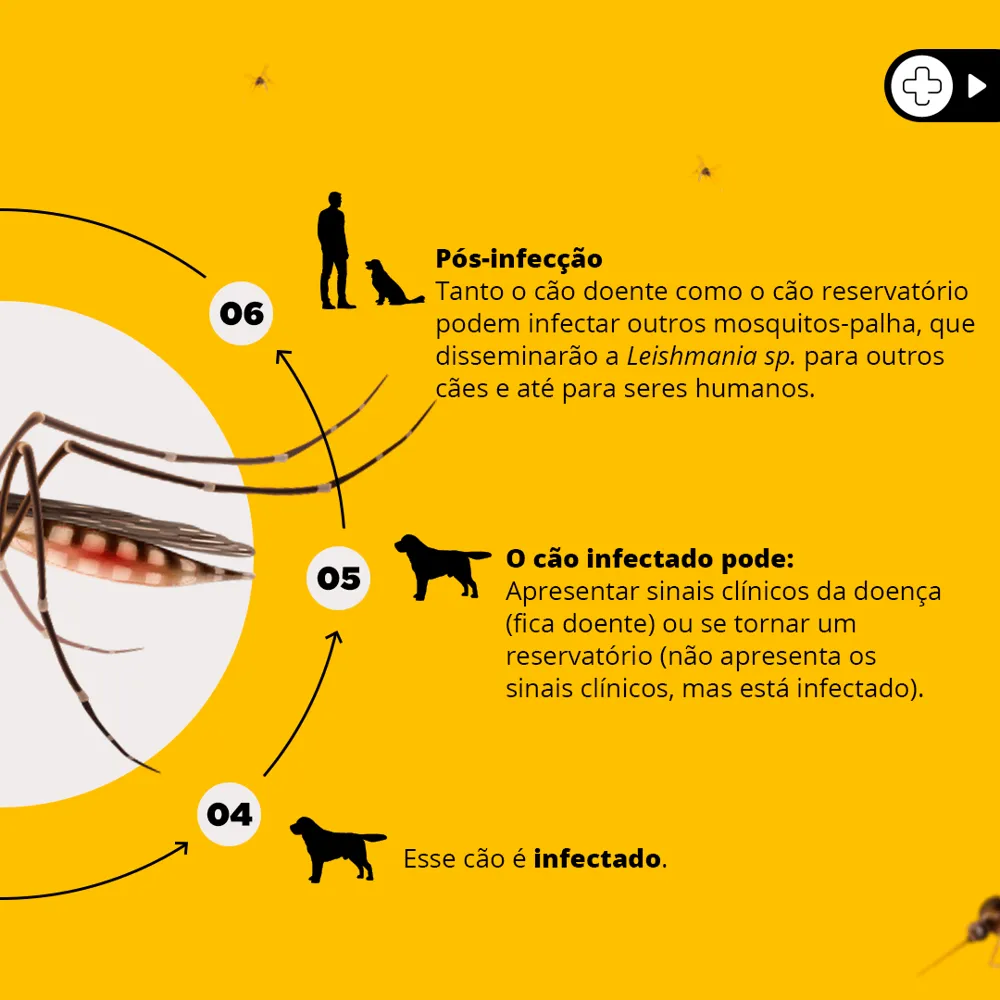 Coleira Antiparasitária Scalibor Cães Grandes — foto 4