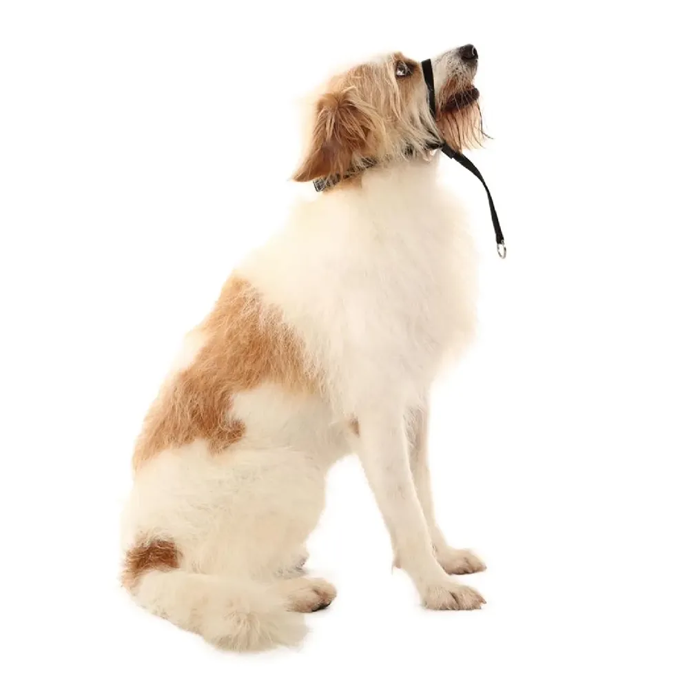 Coleira Cabresto para Cães Toh Preta — foto 5