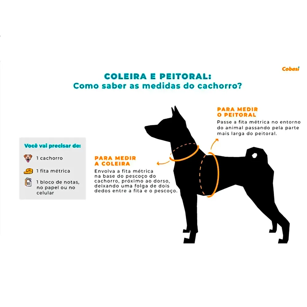 Coleira para Cães Floral Alvorada — foto 3