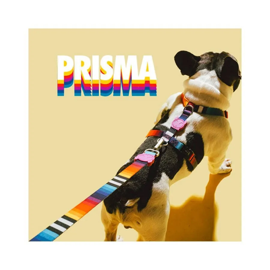 Coleira para Cães Prisma Zee.Dog — foto 5
