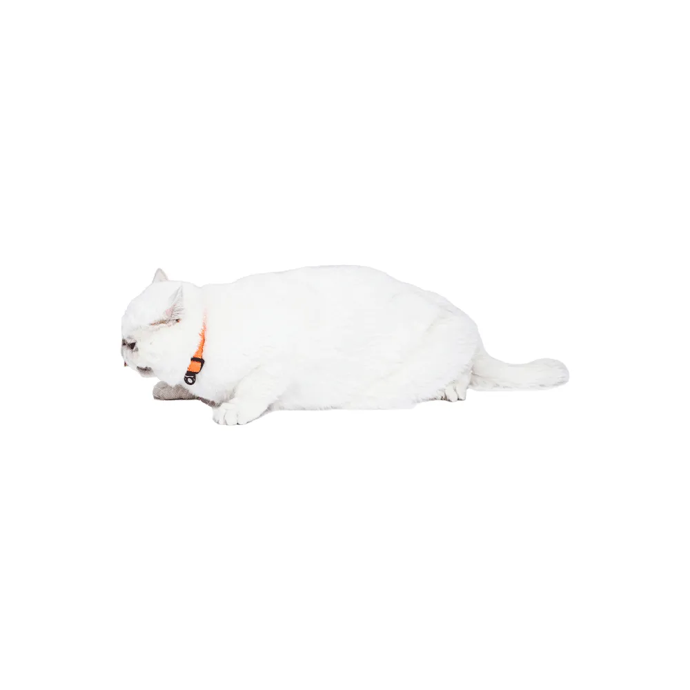 Coleira Gatos Furball Doco Laranja — foto 3
