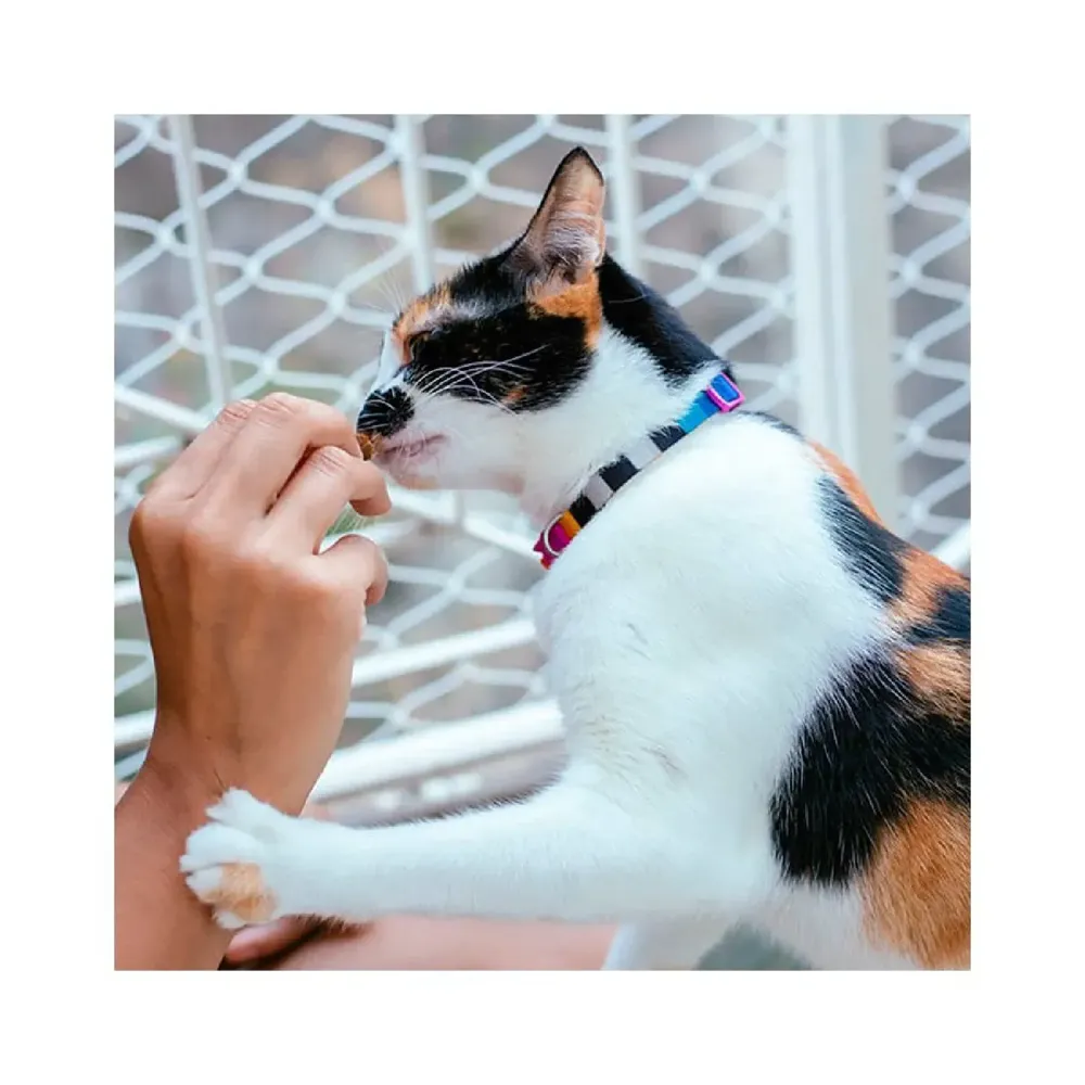 Coleira para Gatos Prisma Zee.Cat — foto 3