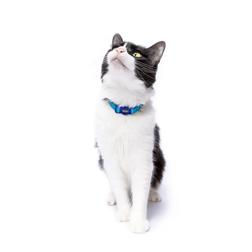 Coleira para Gatos Tchucoo Azul — foto 3