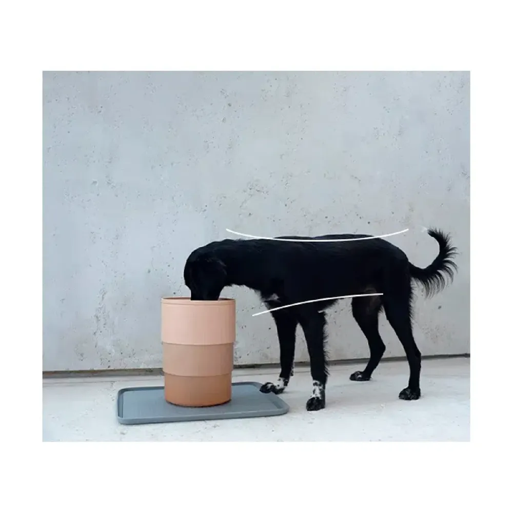Comedouro para Cães Regulável Sand Zee.Dog — foto 4