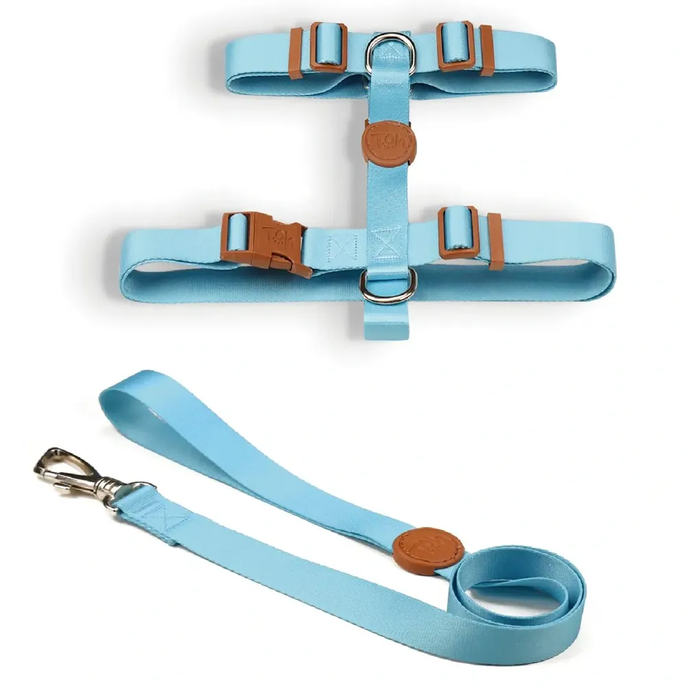 Conjunto Peitoral H com Guia Toh Azul — foto 5