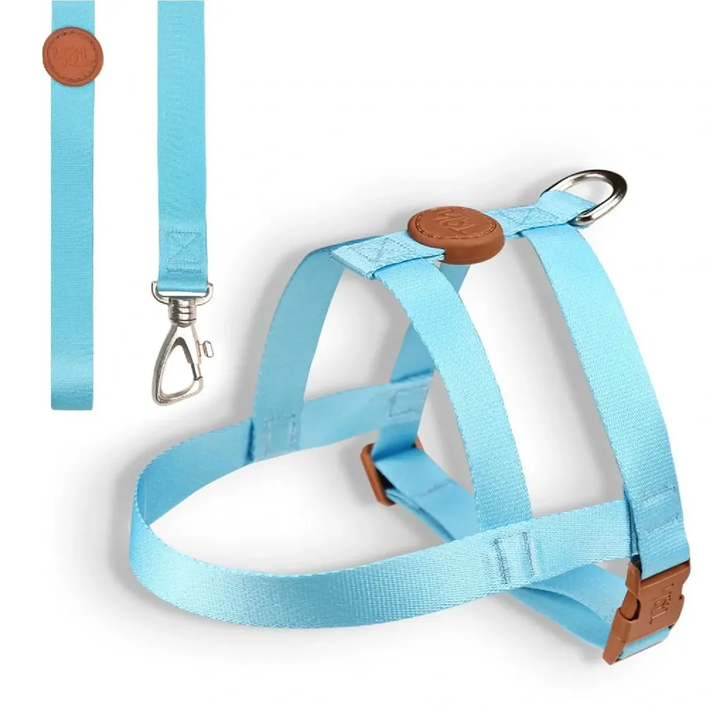 Conjunto Peitoral Tradicional com Guia Toh Azul — foto 3