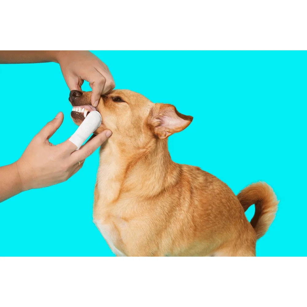 Dedal Care Higiene Bucal Pet Clean — foto 4
