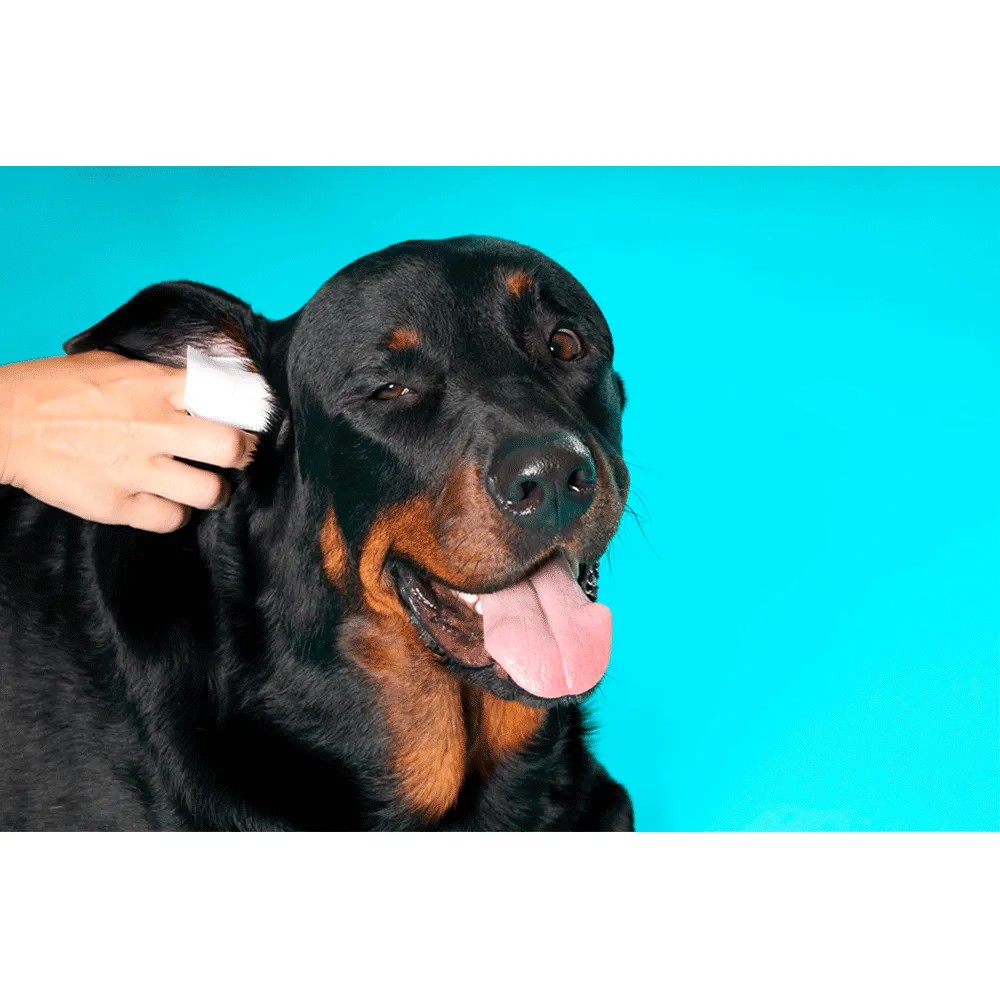 Dedal Care Orelhas para Cães Pet Clean — foto 4