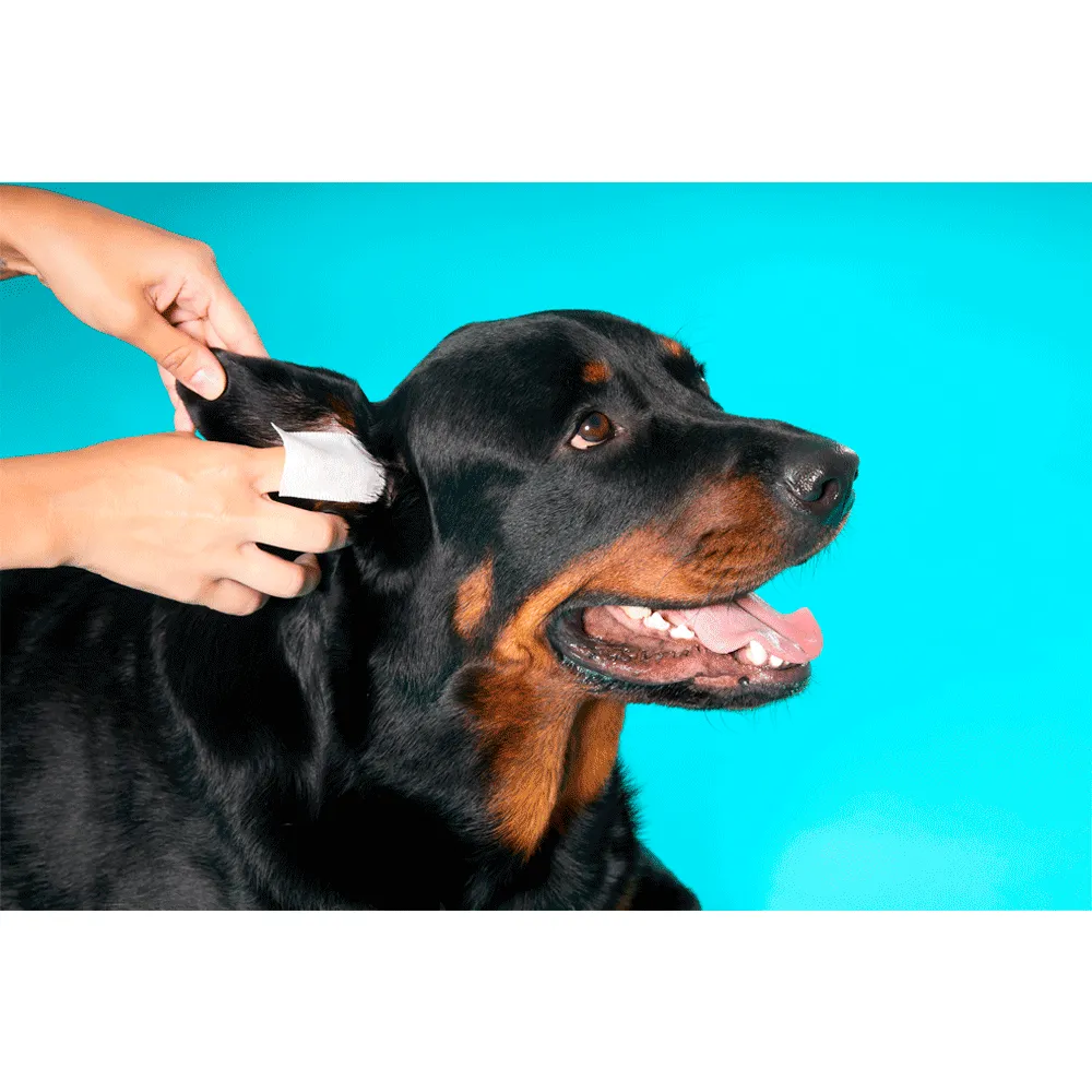 Dedal Care Orelhas para Cães Pet Clean — foto 5