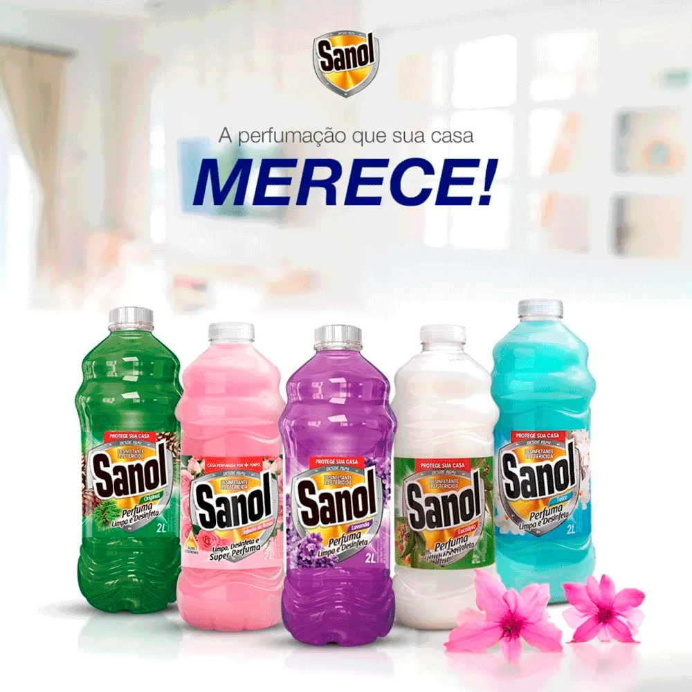 Desinfetante Bactericida Lavanda Sanol — foto 6
