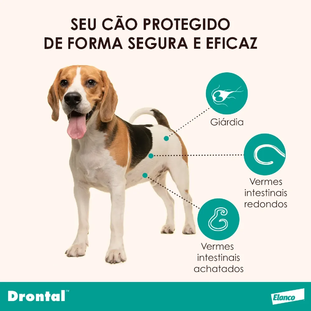Vermífugo Drontal Plus + Sabor para Cães 10kg — foto 4