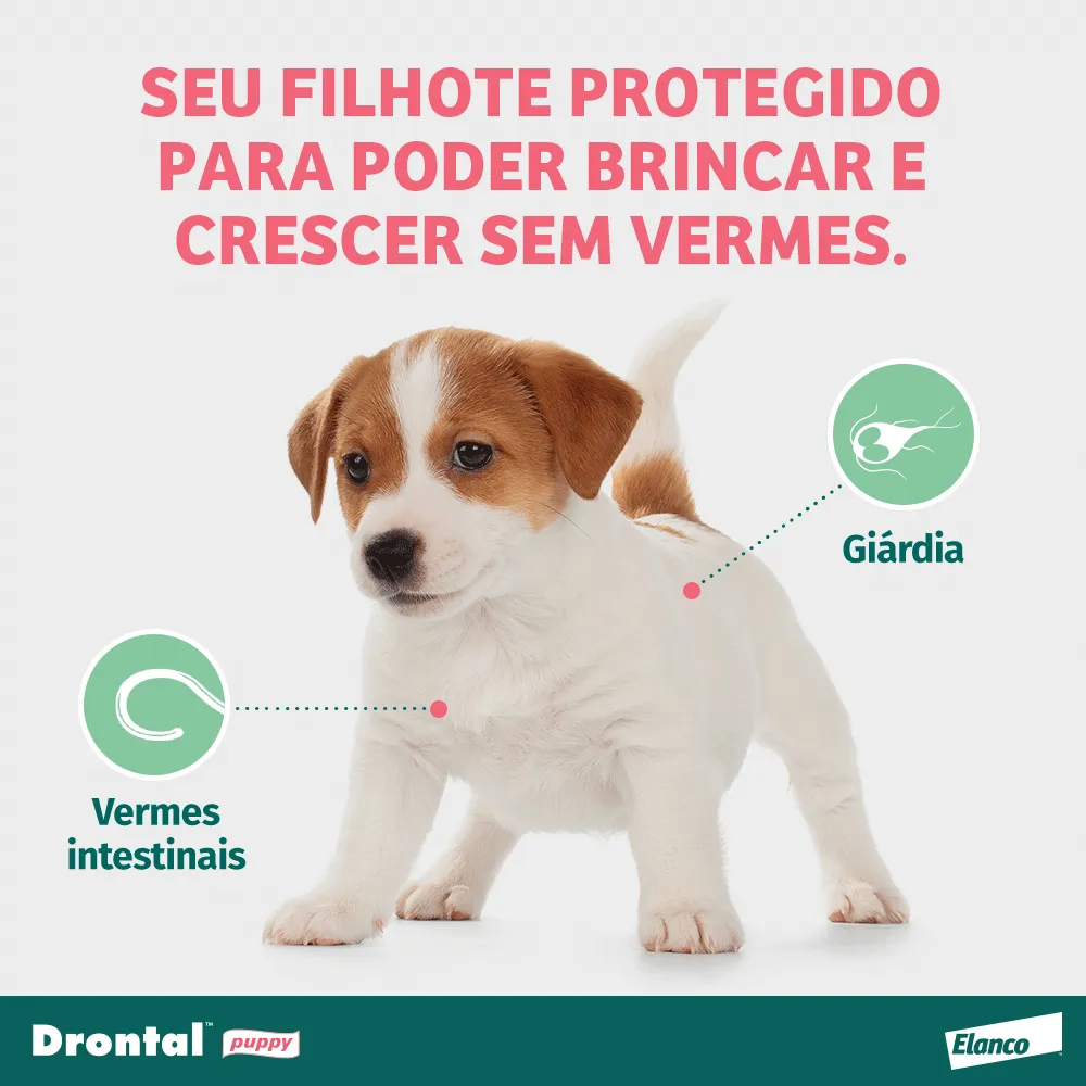 Vermífugo Drontal Puppy Suspensão — foto 2