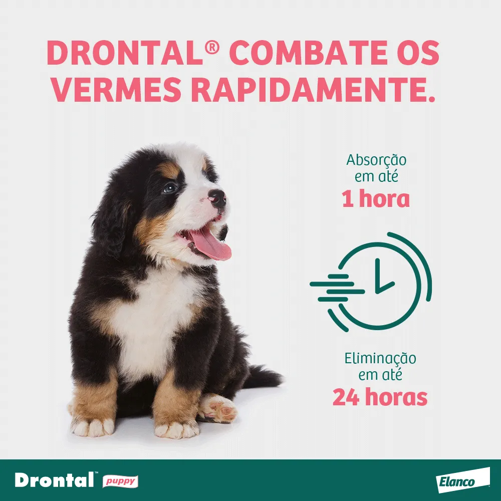 Vermífugo Drontal Puppy Suspensão — foto 3