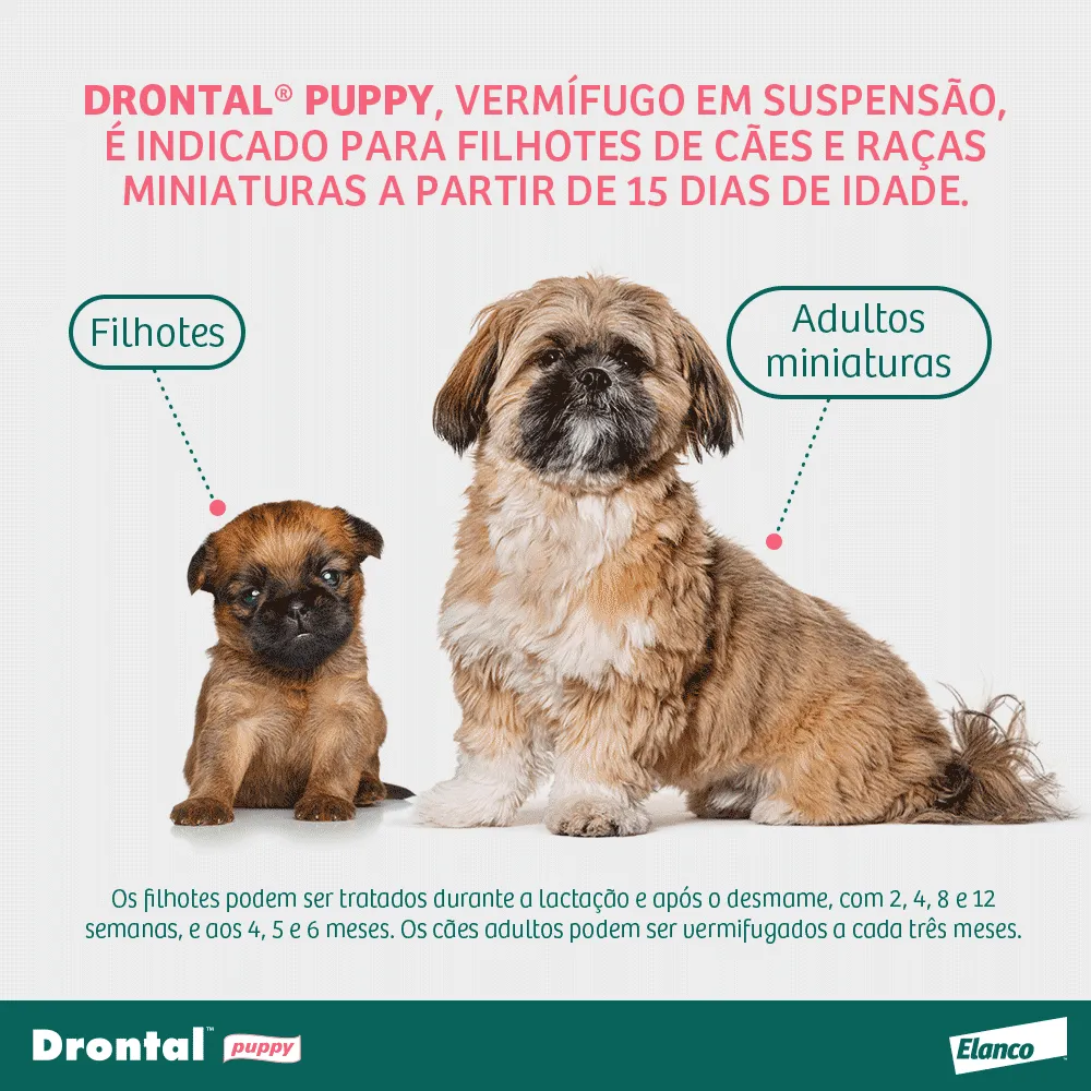Vermífugo Drontal Puppy Suspensão — foto 4