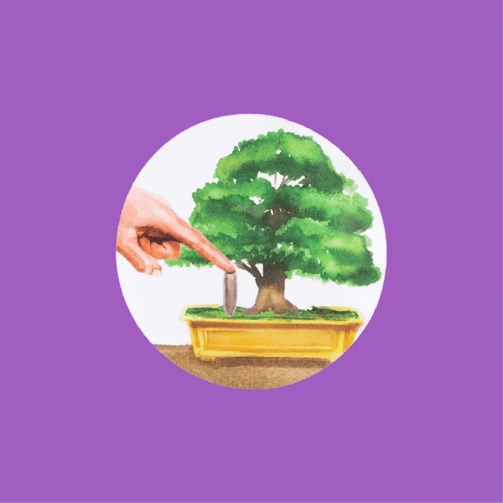 Fertilizante Orgânico para Bonsai Mr. Spike — foto 3