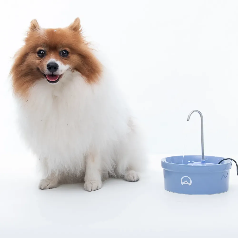 Fonte Bebedouro e Purificador Aqua Porcelain Amicus Bivolt Azul — foto 4