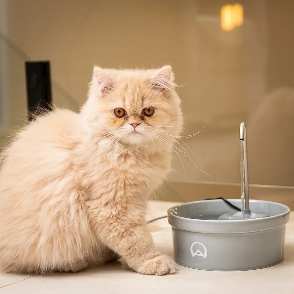 Fonte Bebedouro e Purificador Aqua Porcelain Amicus Bivolt Cinza — foto 4