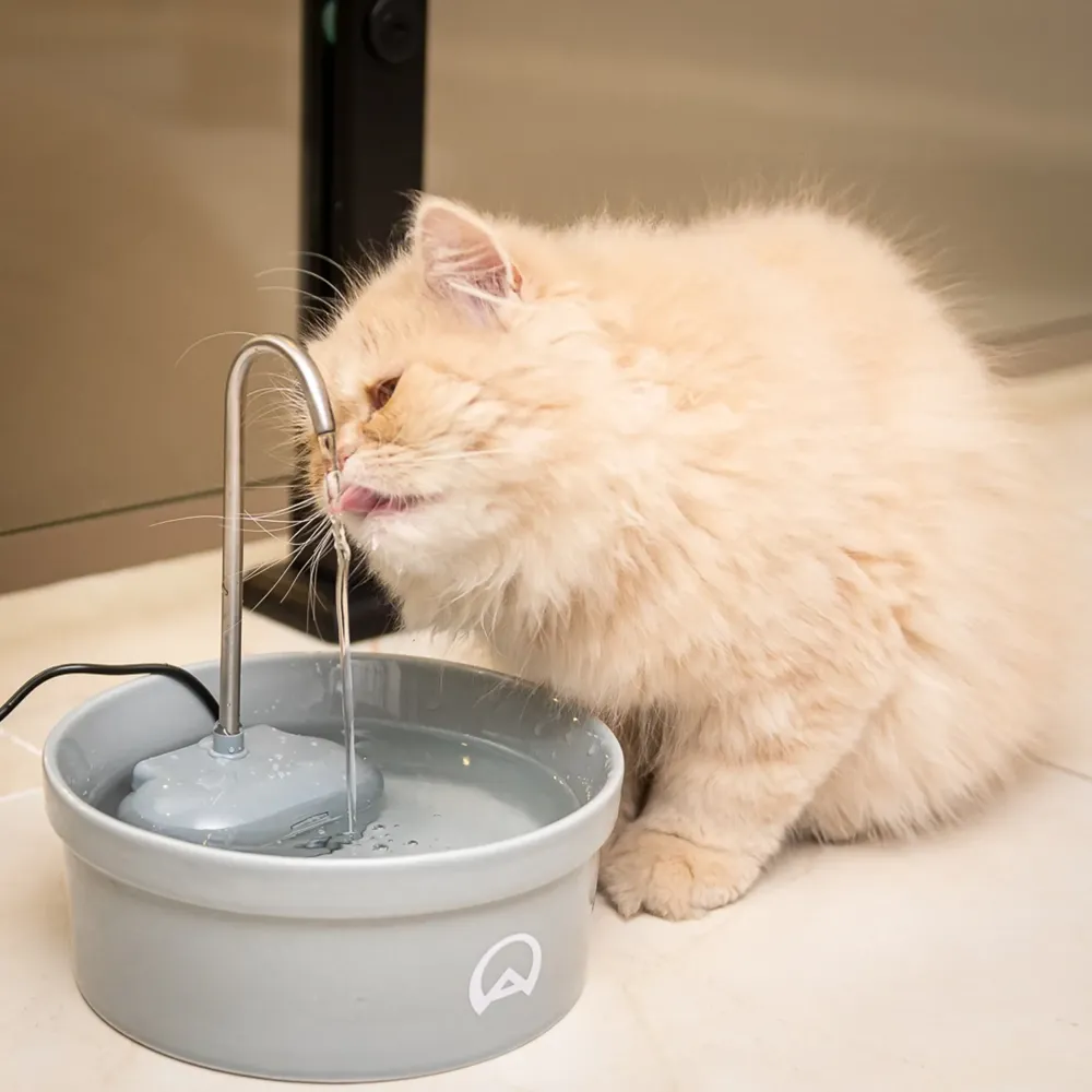 Fonte Bebedouro e Purificador Aqua Porcelain Amicus Bivolt Cinza — foto 5