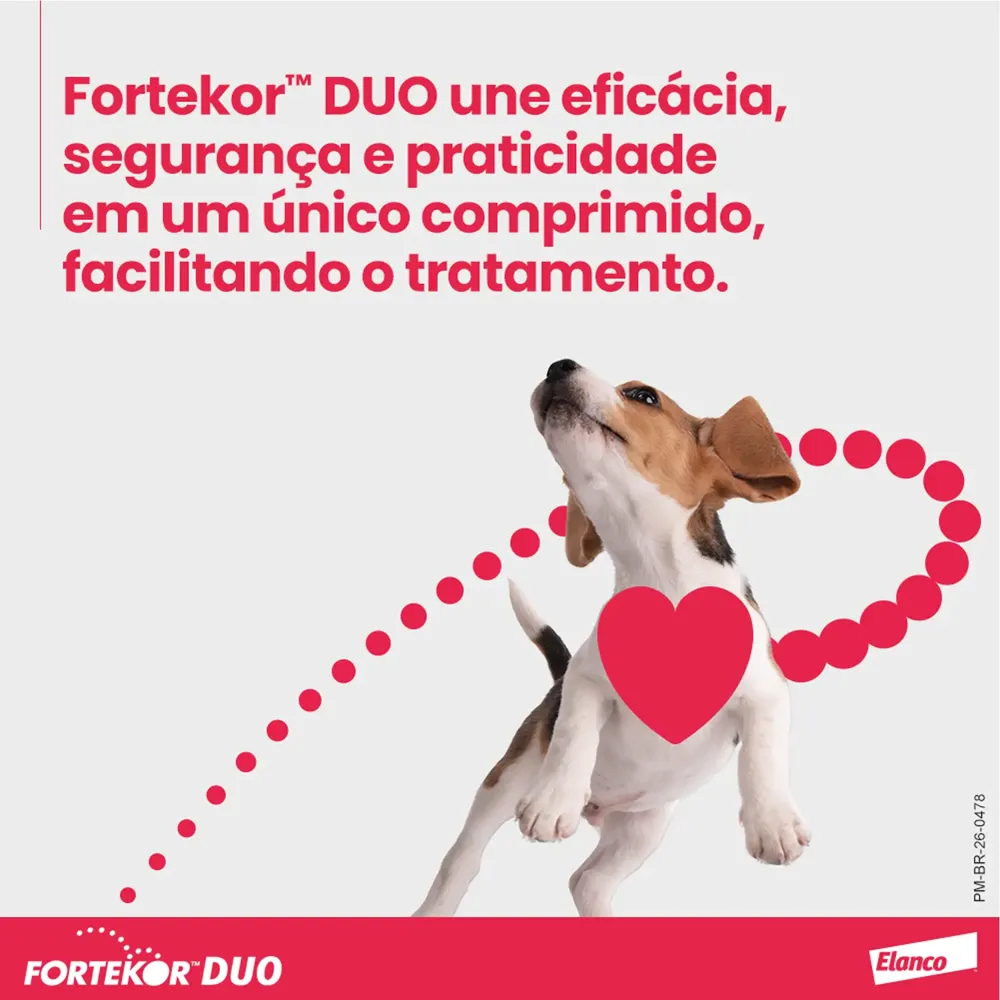 Fortekor Duo 1,25 mg + 2,5 mg para Insuficiência Cardíaca Congestiva em Cães — foto 4