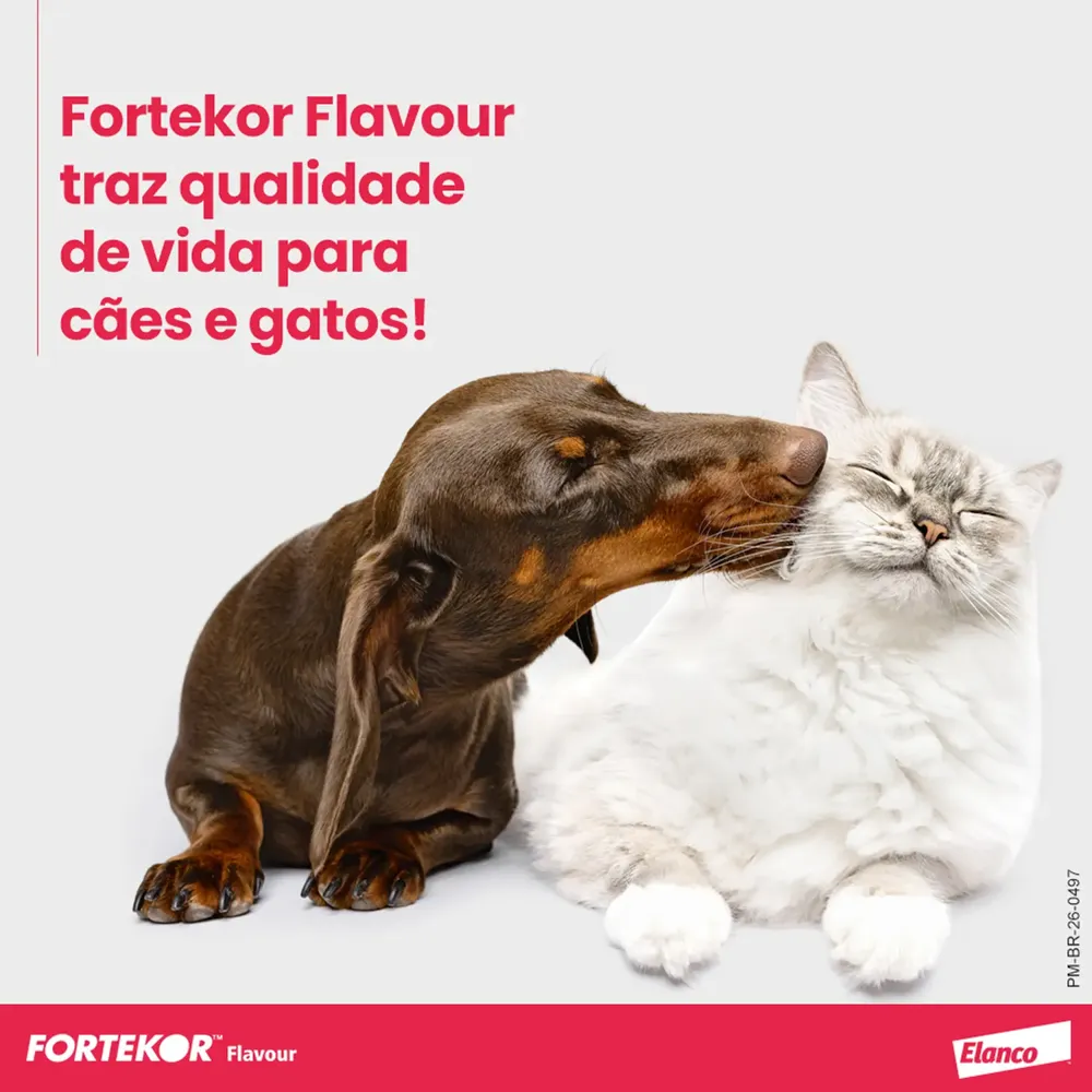 Fortekor Flavour 5 mg para Insuficiência Cardíaca Congestiva e Doença Renal Crônica — foto 5