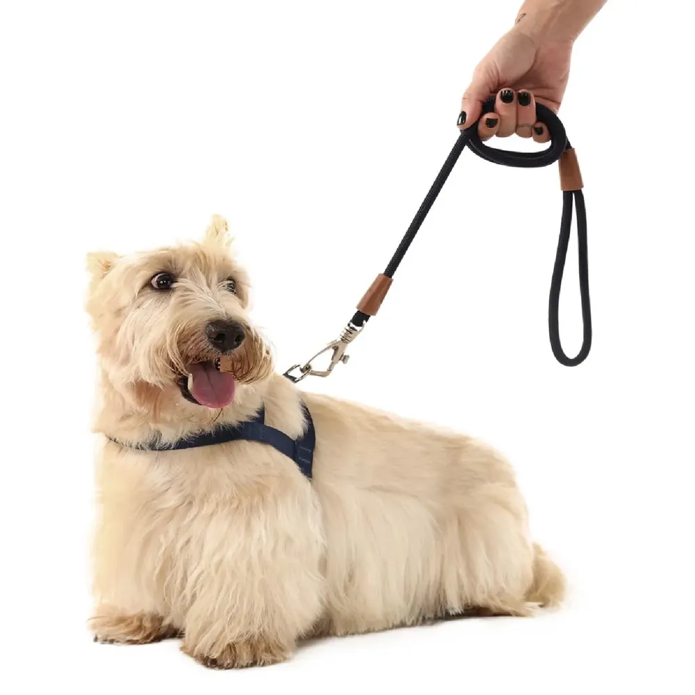 Guia Corda para Cães Toh Preta — foto 3