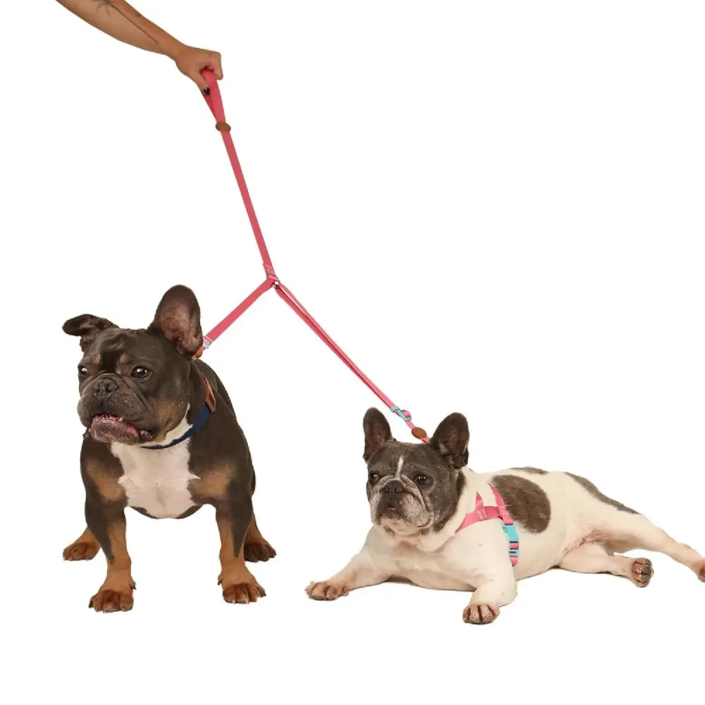 Guia Dupla Toh Fiji para Cães e Gatos — foto 3