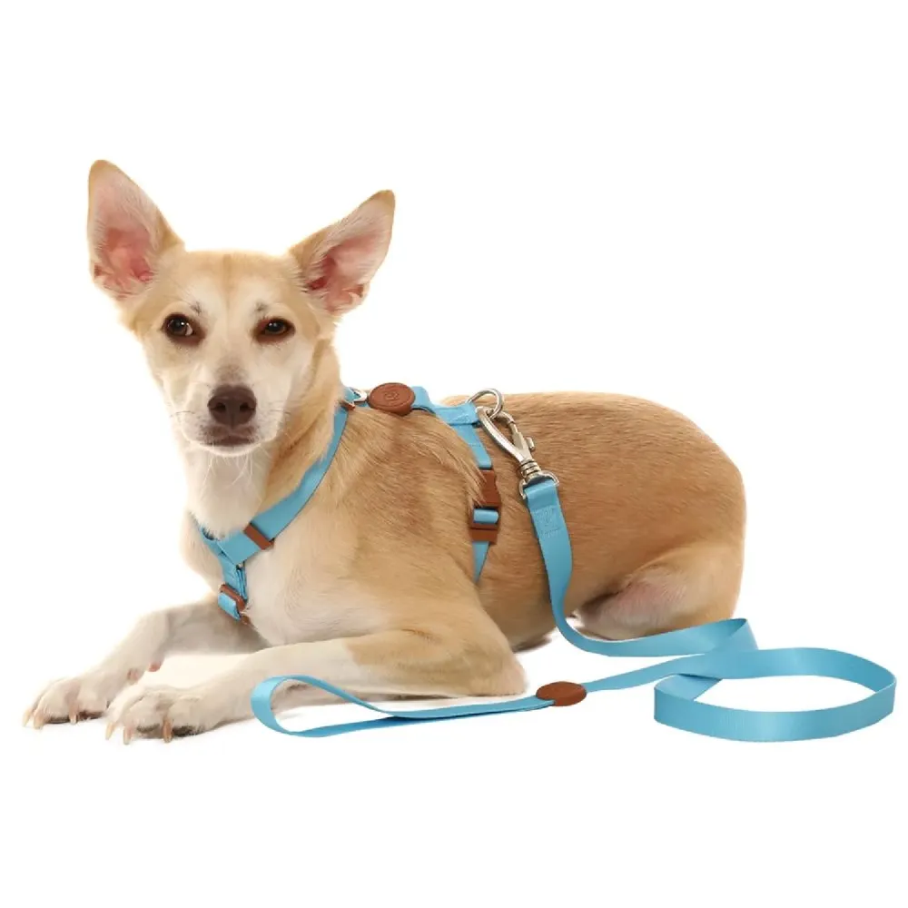 Guia Padrão para Cães Toh Azul — foto 3