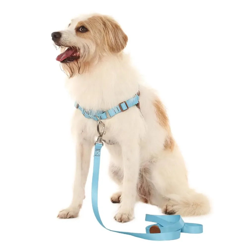 Guia Padrão para Cães Toh Azul — foto 4