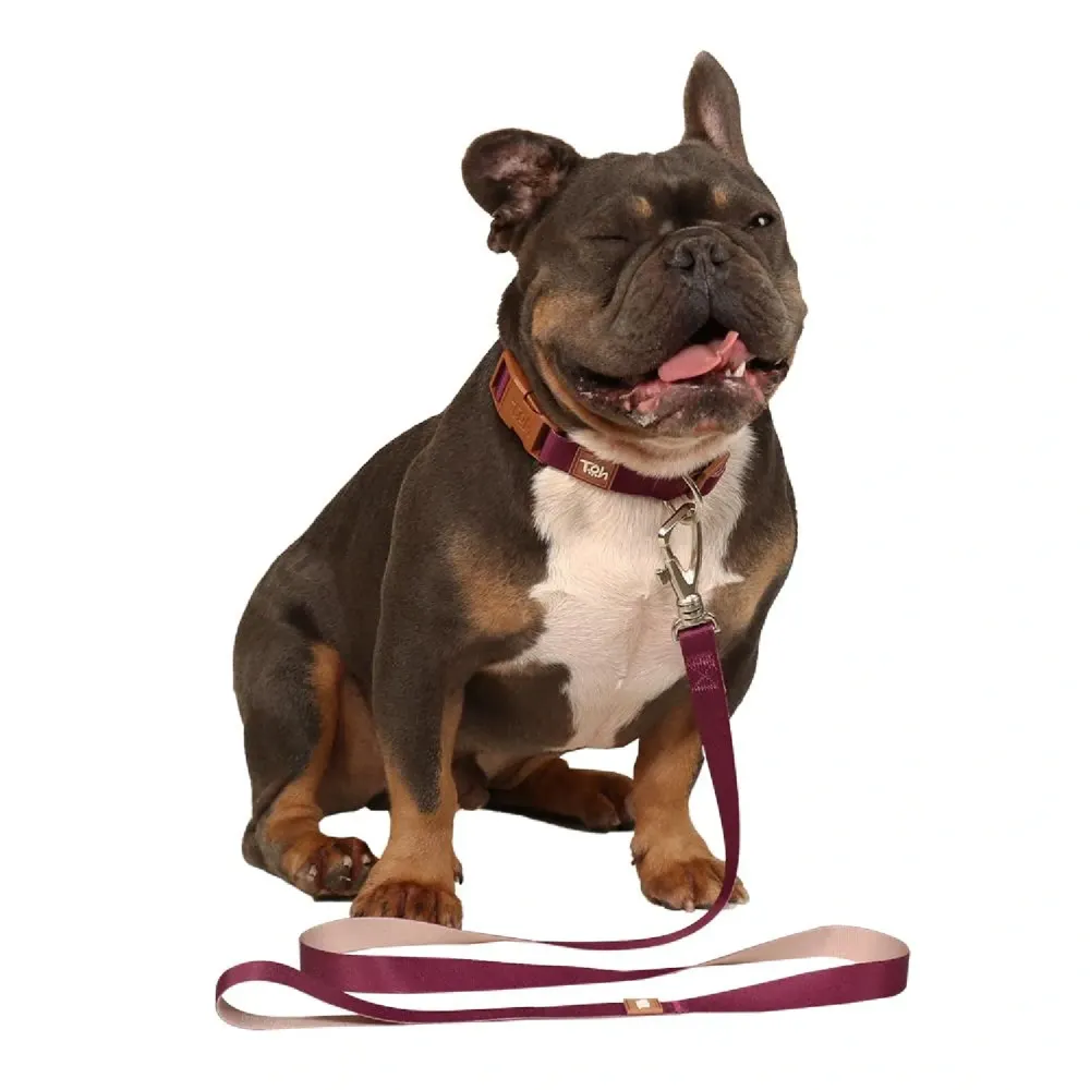 Guia Padrão para Cães Basic Toh Bordô — foto 5