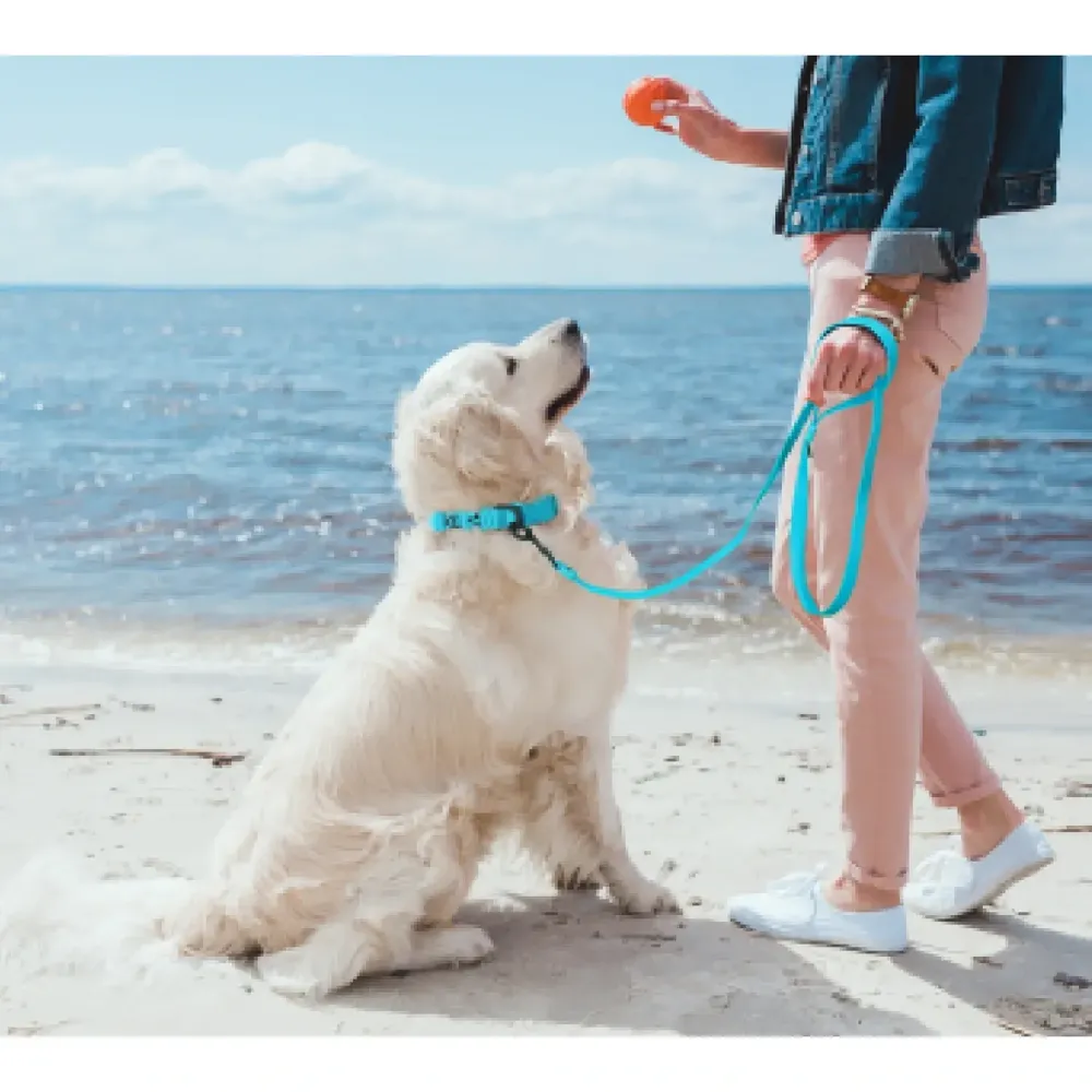 Guia para Cães Jelly Bean Doco Azul — foto 6