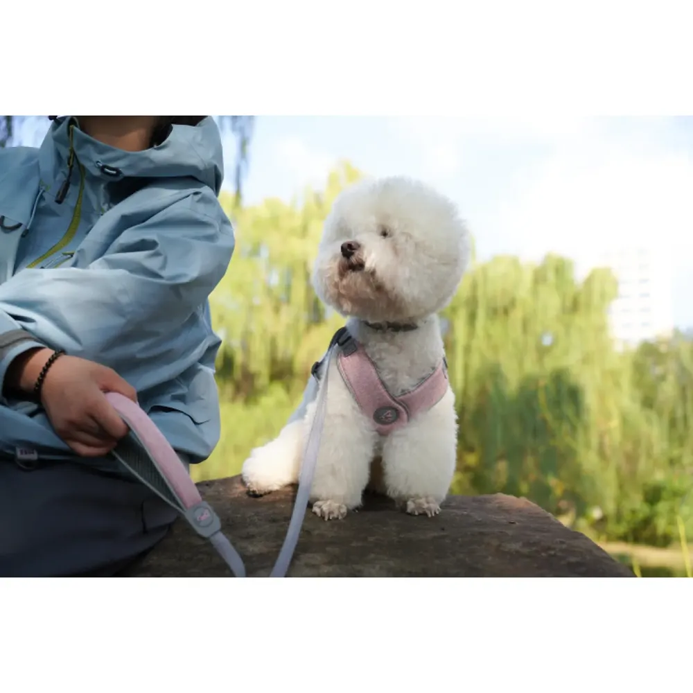 Guia para Cães Mesh Leash Doco Cinza — foto 3