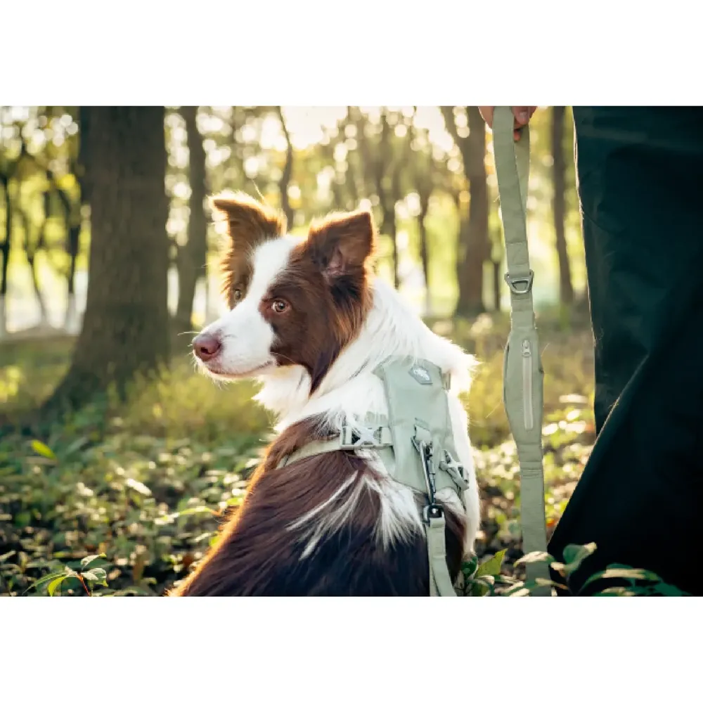 Guia para Cães Multifuncional Doco Lilás — foto 3
