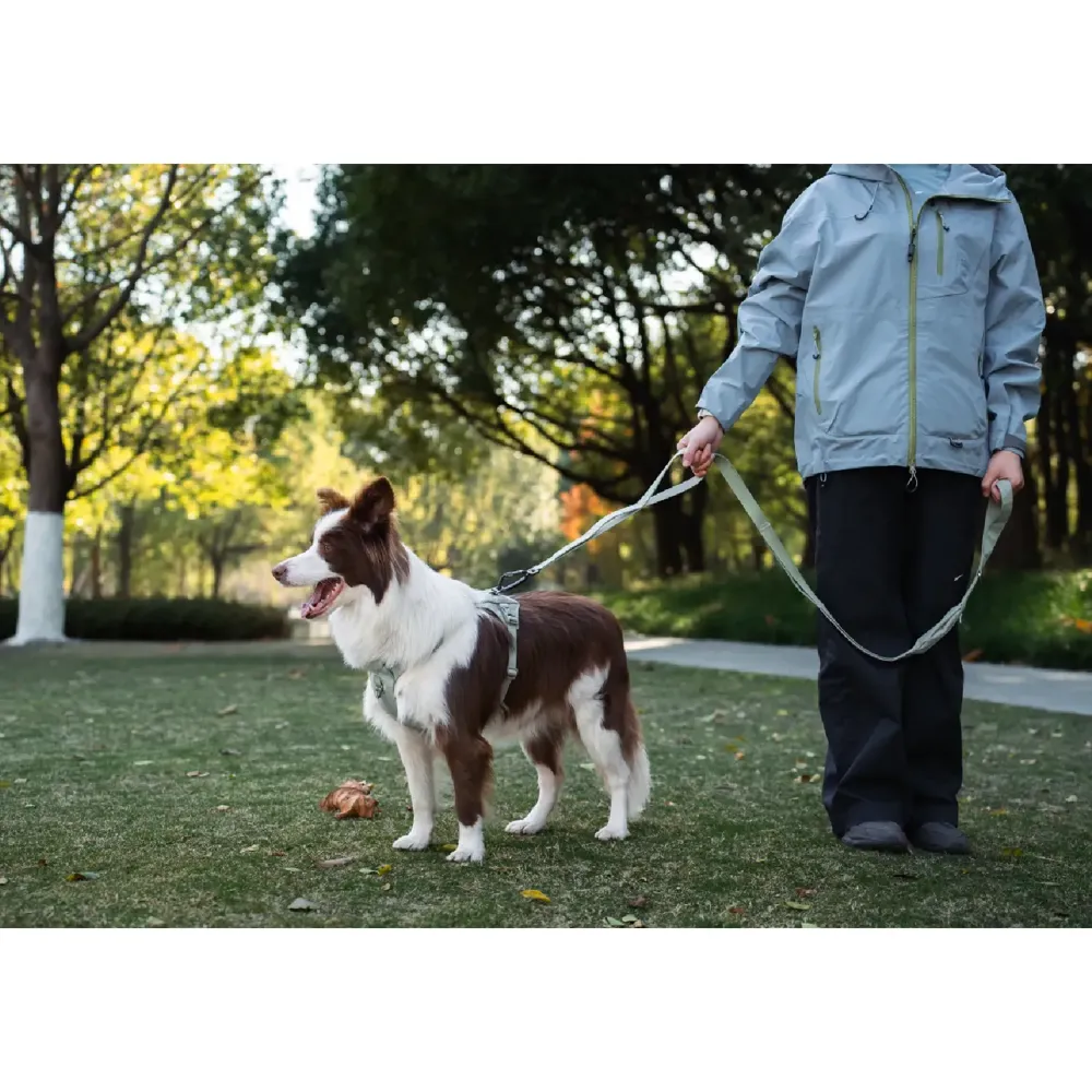 Guia para Cães Multifuncional Doco Verde — foto 2