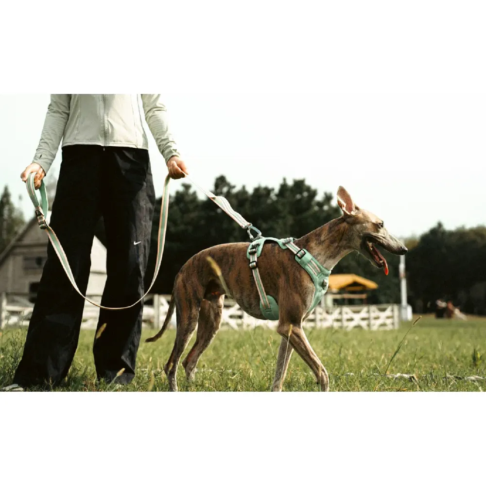 Guia para Cães Vertex Doco Azul — foto 3