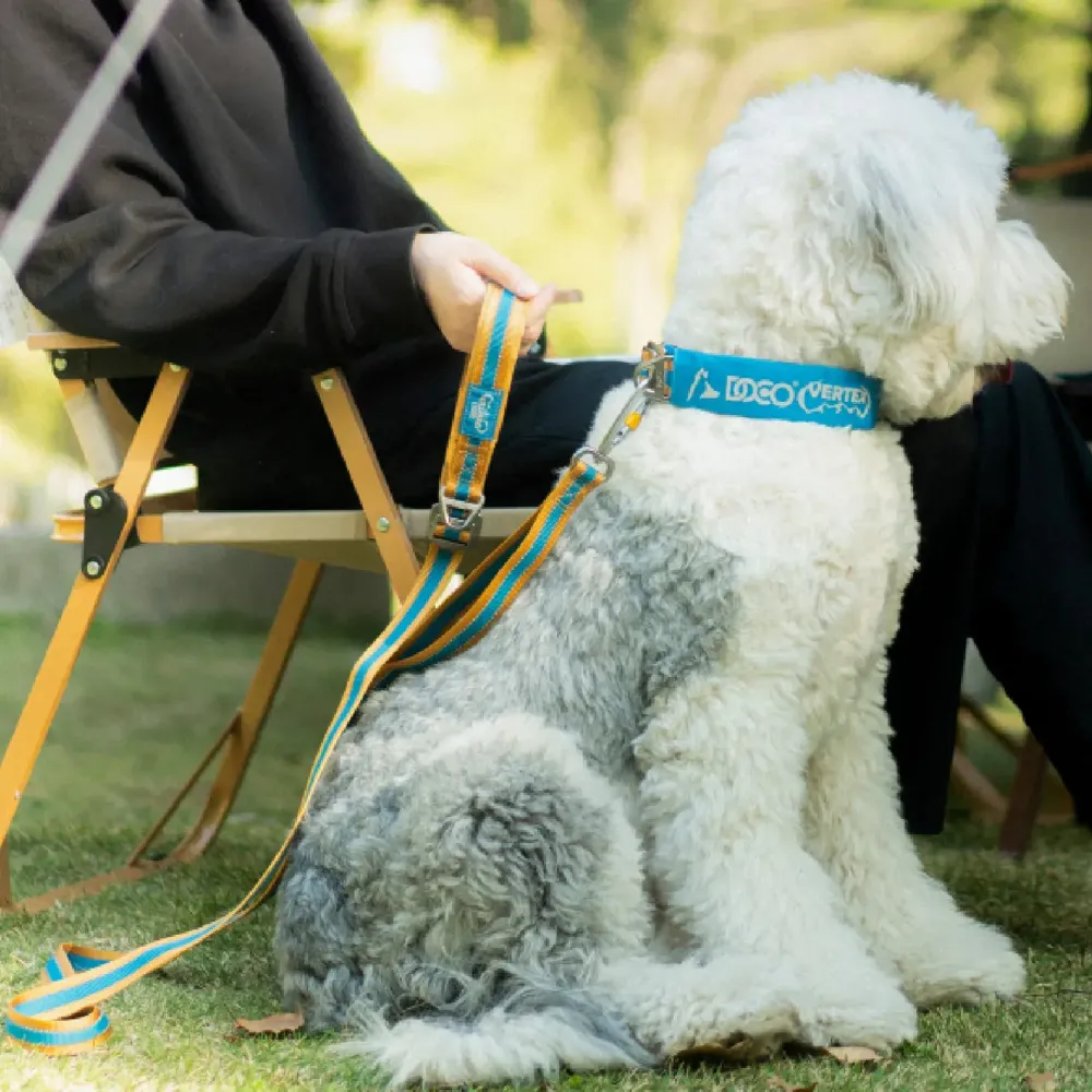 Guia para Cães Vertex Doco Verde — foto 2