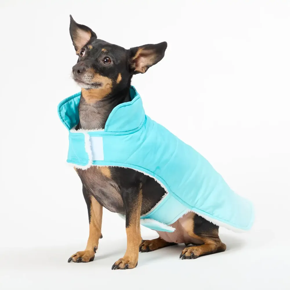 Jaqueta Gradiente para Cães Flicks Verde — foto 4